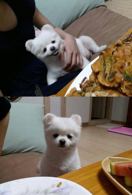 ???: 야야 그거 한입 먹는다고 죽냐 ㅋㅋㅋ | 인스티즈