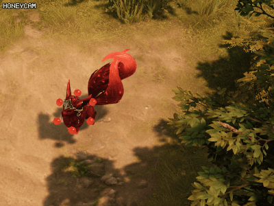 로스트아크에 출시된 가디언펫들 | 인스티즈