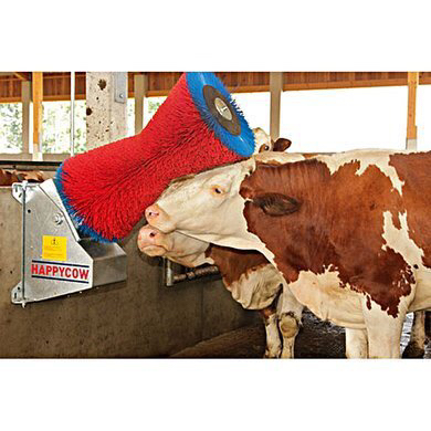 소들 사이에서 핫하다는 아이템 | 인스티즈