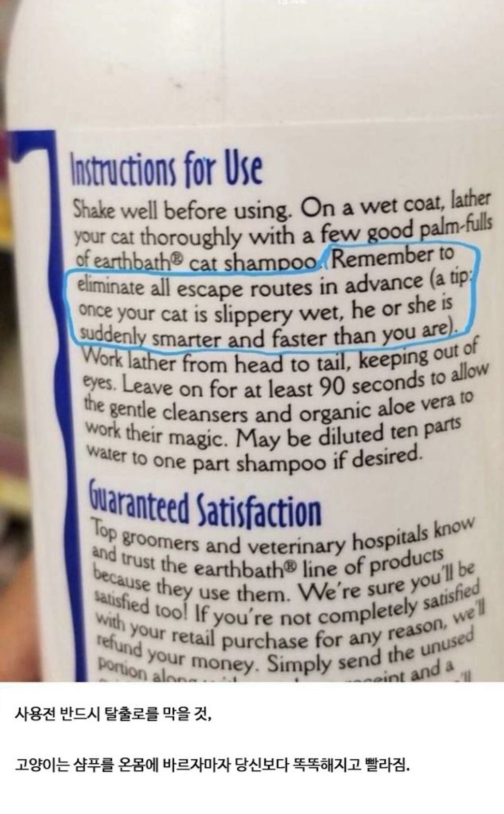 고양이 샴푸 주의 사항.jpg | 인스티즈