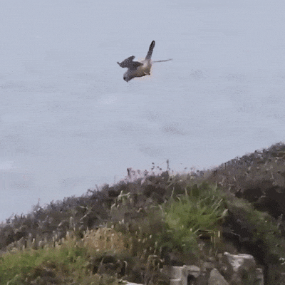 여기가 맵 끝이구나... | 인스티즈