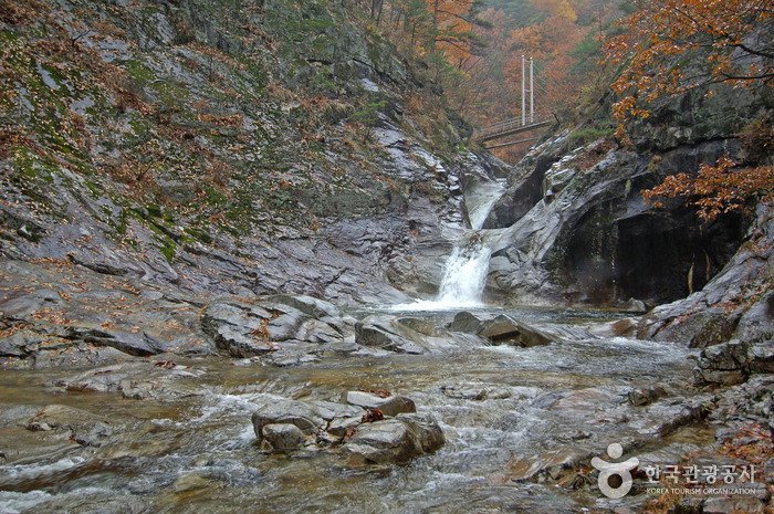 우리나라에서 유일한 진짜 온천...jpg | 인스티즈