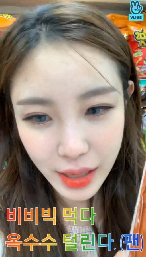 비비빅이 손절당한 이유.........jpg | 인스티즈