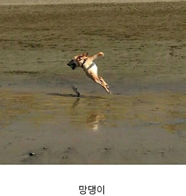 파노라마 사진 대참사 | 인스티즈