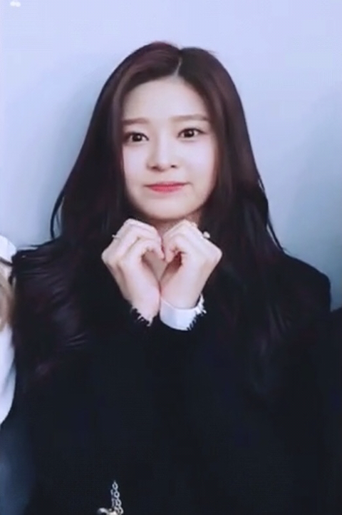 더쿠 사쿠라의 아이즈원 소개 | 인스티즈