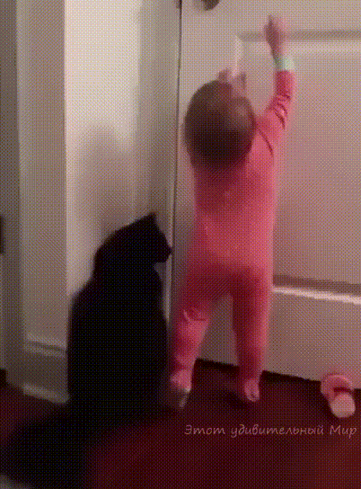 아기와 고양이 같이 문열기.gif | 인스티즈