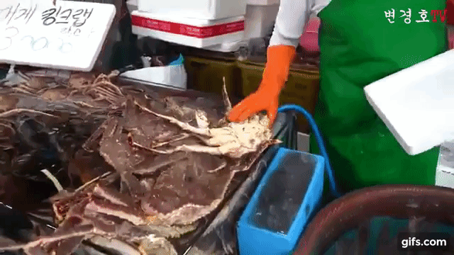 소래포구 걸러야 하는 이유 .gif | 인스티즈