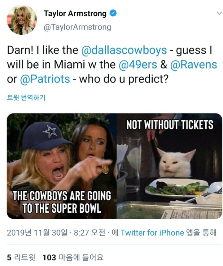 고양이에게 소리지르는 여자 근황 | 인스티즈