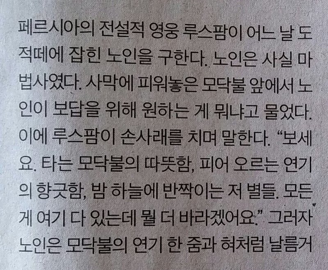 페르시아의 고양이 전설.jpg | 인스티즈