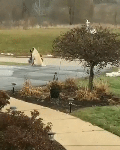 아침 임무 완료.gif | 인스티즈