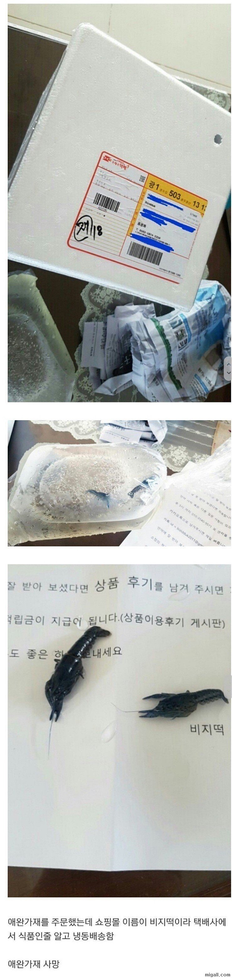 택배 배송 올타임 레전드.jpg | 인스티즈