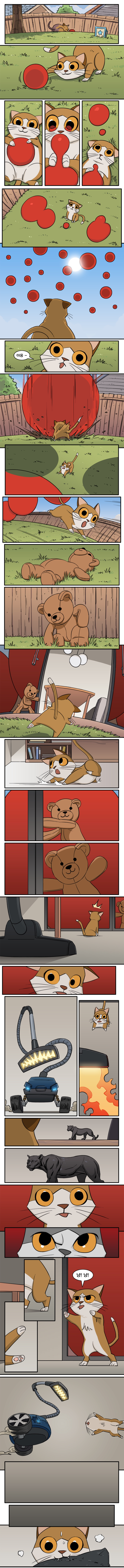 새끼 고양이가 보는 세상 만화 | 인스티즈