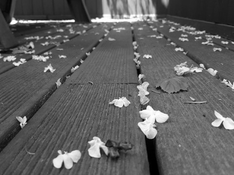 봄날이 저무는 밤 | 인스티즈