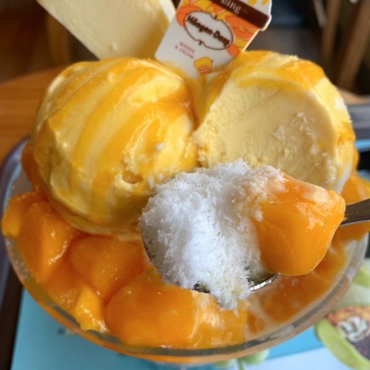 하겐다즈 망고설빙 실물.JPG | 인스티즈