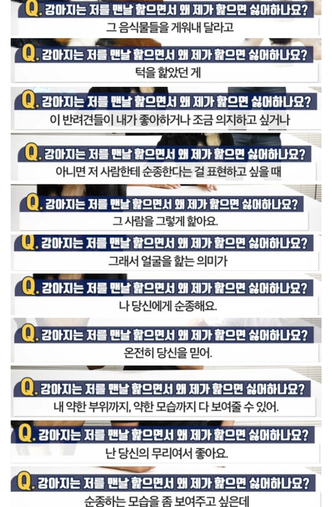 강아지는 제가 핥으면 싫어하면서 왜 저를 핥나요? | 인스티즈