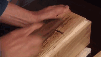 세계에서 가장 단단하다는 식재료 | 인스티즈