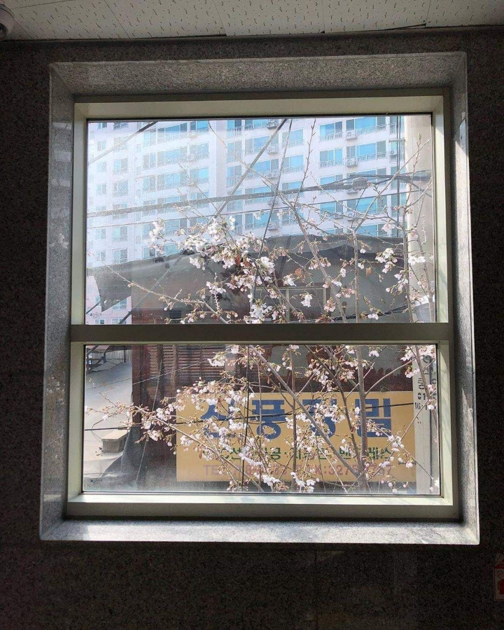 전소민의 감성을 1도 이해못하는 김종국ㅋㅋㅋㅋㅋㅋㅋ | 인스티즈