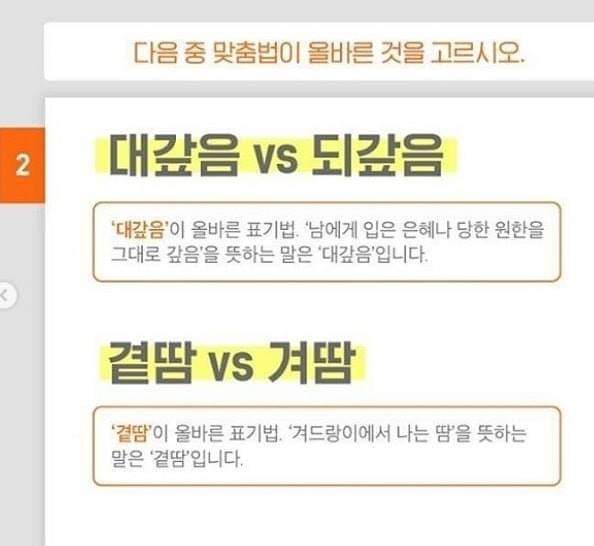 내 뇌가 인정 못하는 맞춤법 2가지.jpg | 인스티즈