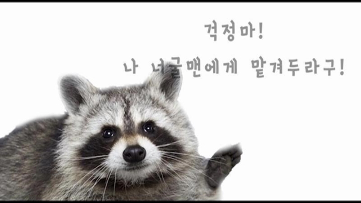 G2가 SKT 이기는 유일한 방법 | 인스티즈