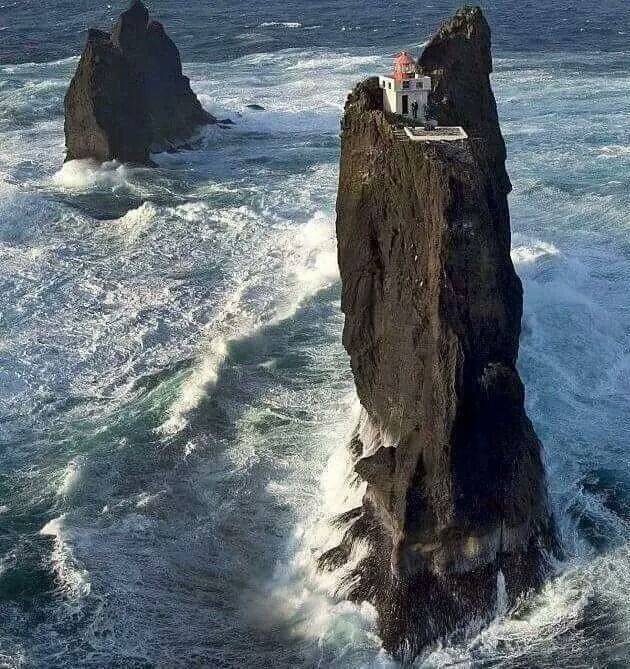 월급 천만원 한다 vs 안한다.jpg | 인스티즈