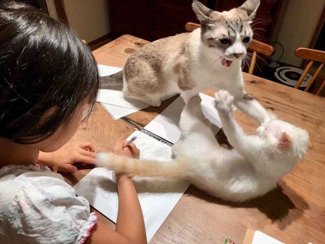 딸아이가 색칠공부에 집중못하는 이유 | 인스티즈