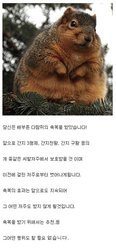 배부른 다람쥐의 축복.jpg | 인스티즈