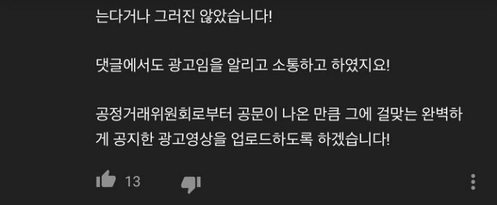 뒷광고에 대한 유투버 하얀트리의 입장 | 인스티즈