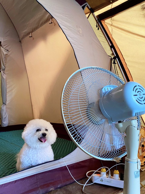 어좁이로 20년 가까이 살아온 남자의 변화 | 인스티즈