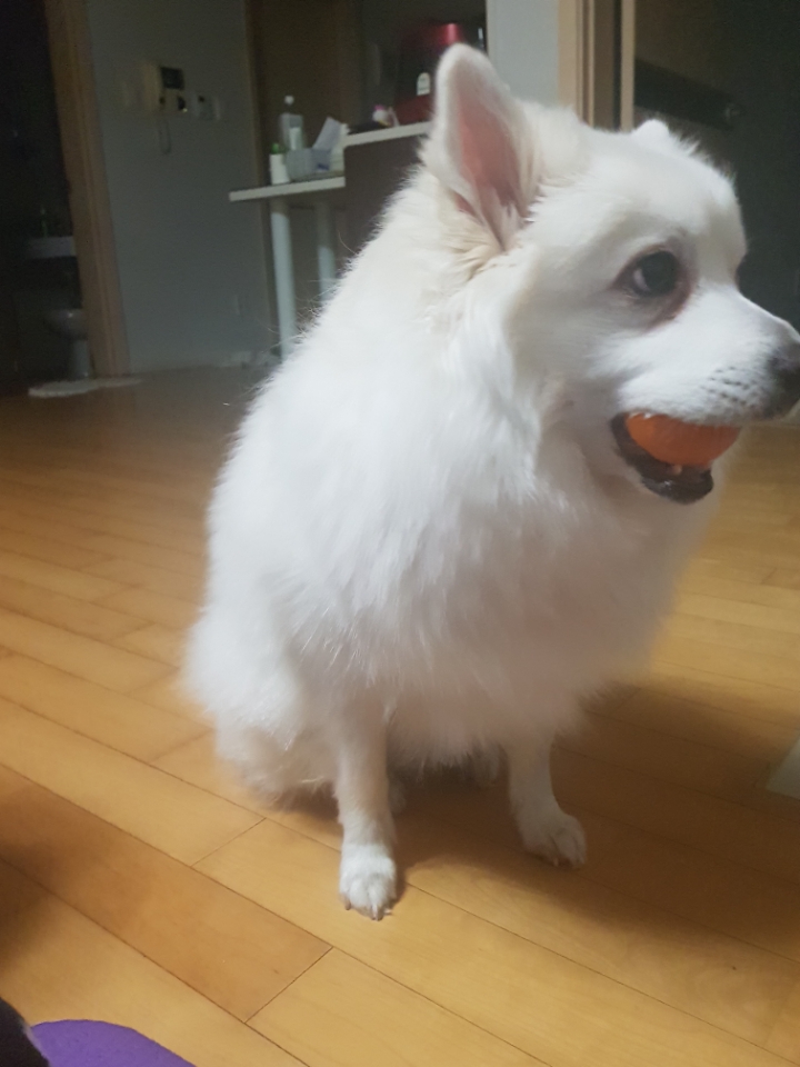 2019년 우리 구름이 | 인스티즈