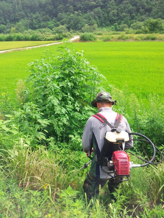 군대 작업있을때 화장실이나 창고에서 짱박힌적 있다 vs 없다 | 인스티즈
