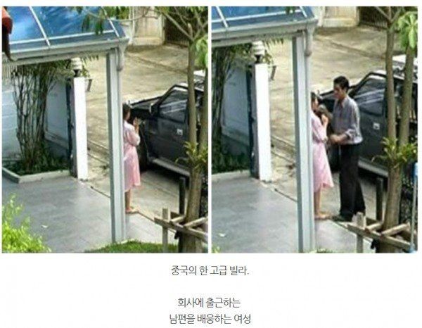 대륙의 쿨한 유부녀 | 인스티즈