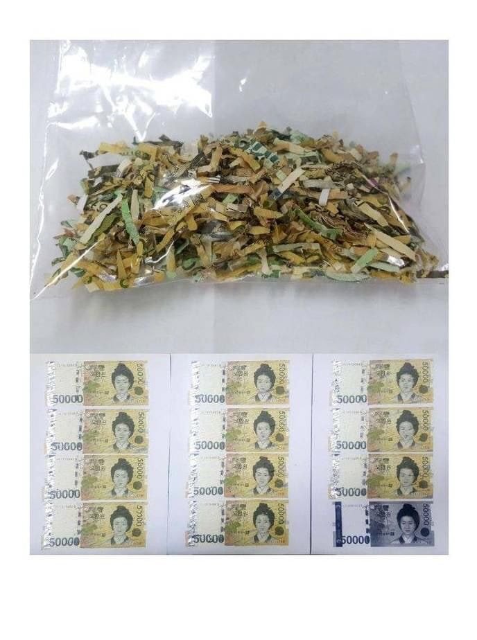 파쇄기에 55만원 갈아버린 사람.JPG | 인스티즈