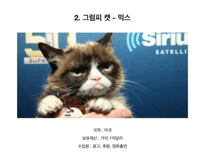 전세계에서 제일 부자인 동물 Top5 .JPG | 인스티즈