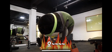 펭귄과 대머리가 운동하는 헬스장이 있다?!.jpg | 인스티즈