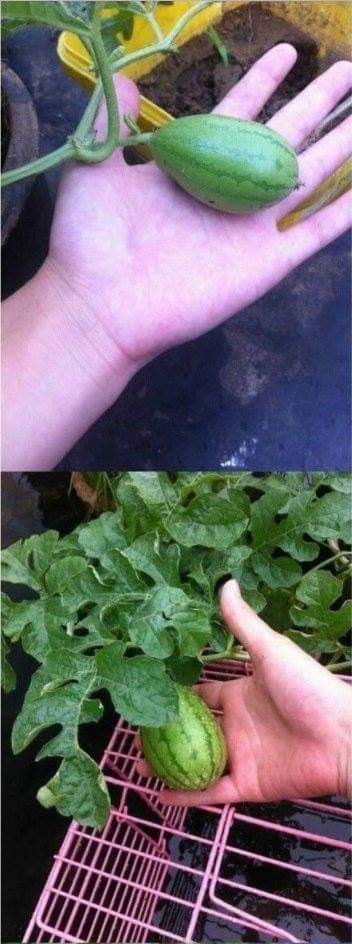 다시보는 고전.jpg | 인스티즈