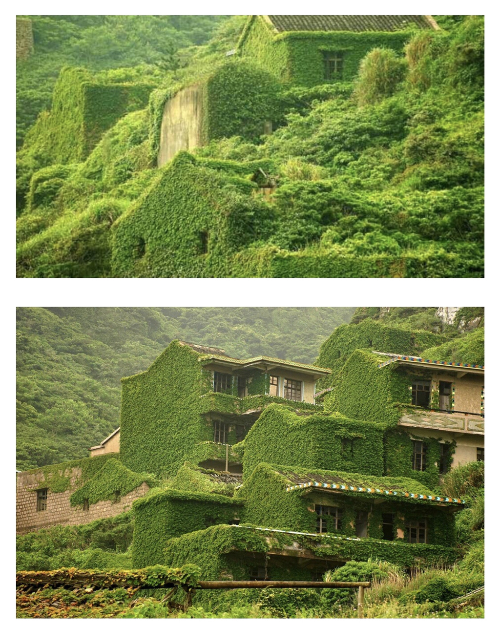 20년뒤 한국 농촌 사회의 미래 모습...jpg | 인스티즈