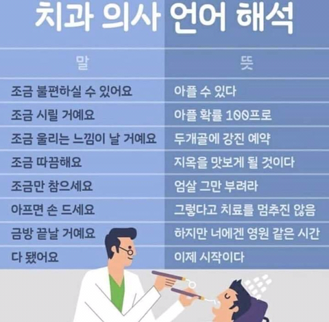 치과의사 언어해석 | 인스티즈