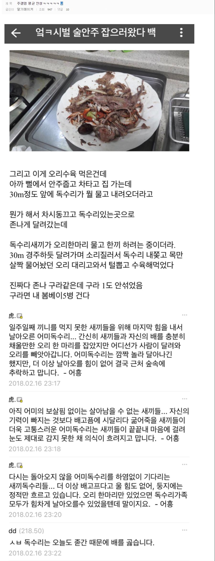 독수리 먹이 훔친썰 | 인스티즈