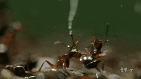 냉혹한 원딜의 세계 | 인스티즈