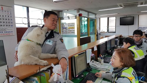 버려진 아기 강아지 주워서 기른 경찰들.jpg | 인스티즈