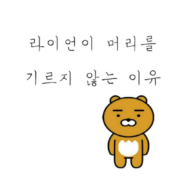 라이언이 머리를 기르지 않는 이유 | 인스티즈