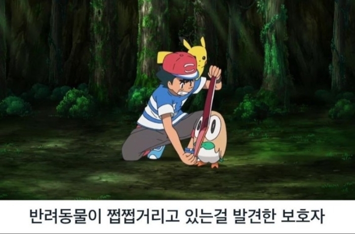 반려동물을 키우는 집 공감 짤.JPG | 인스티즈