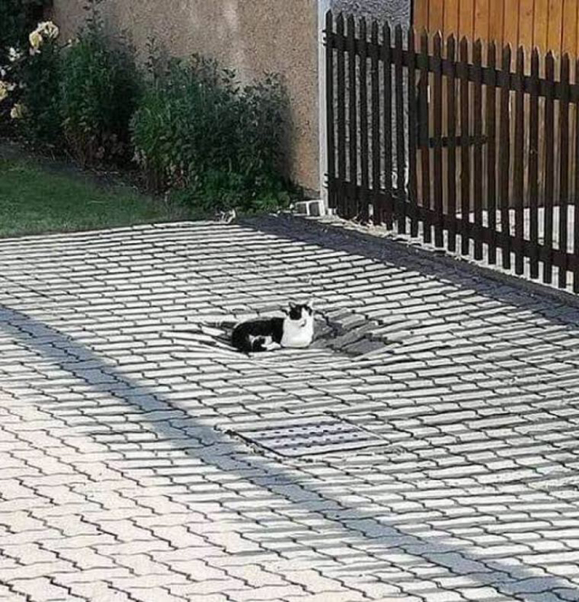 아아...이곳이 이번 「전장」인가...! | 인스티즈