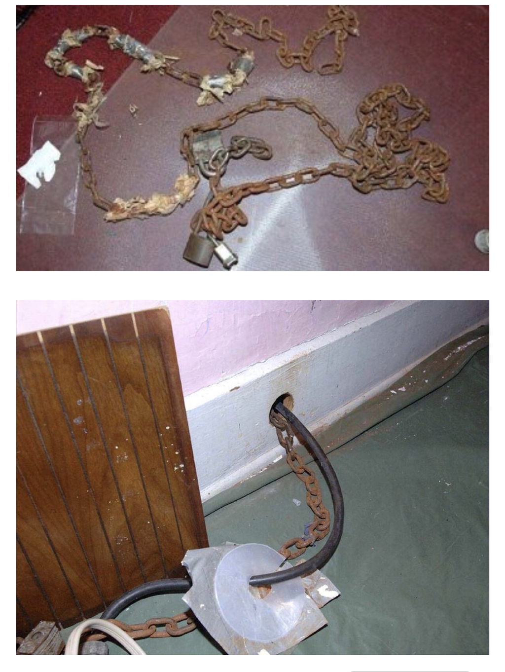 구글 지도에서 모자이크 처리된 집 | 인스티즈