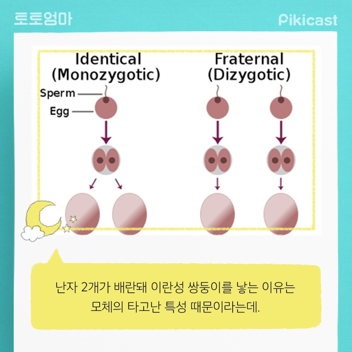 내 아이의 키를 예측하는방법 | 인스티즈