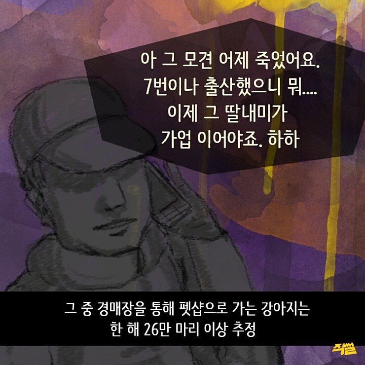 애견샵 불편한 진실 | 인스티즈