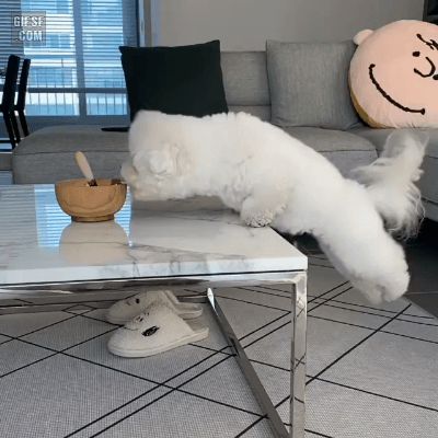 먹구시펑 ㅠㅠ.gif | 인스티즈