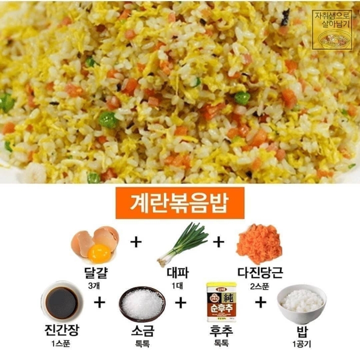 볶음밥 레시피 모음 | 인스티즈