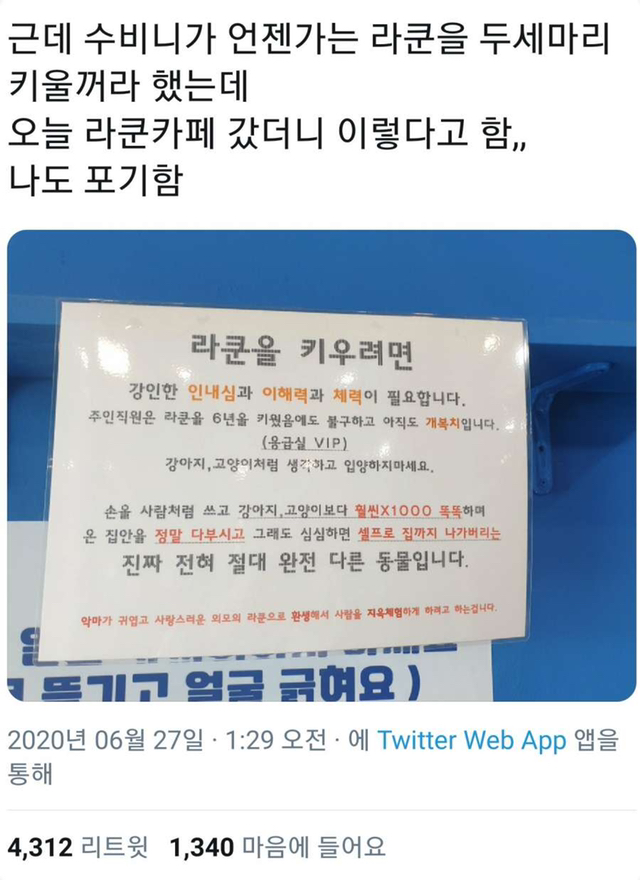 라쿤카페 사장님의 경고.jpg | 인스티즈