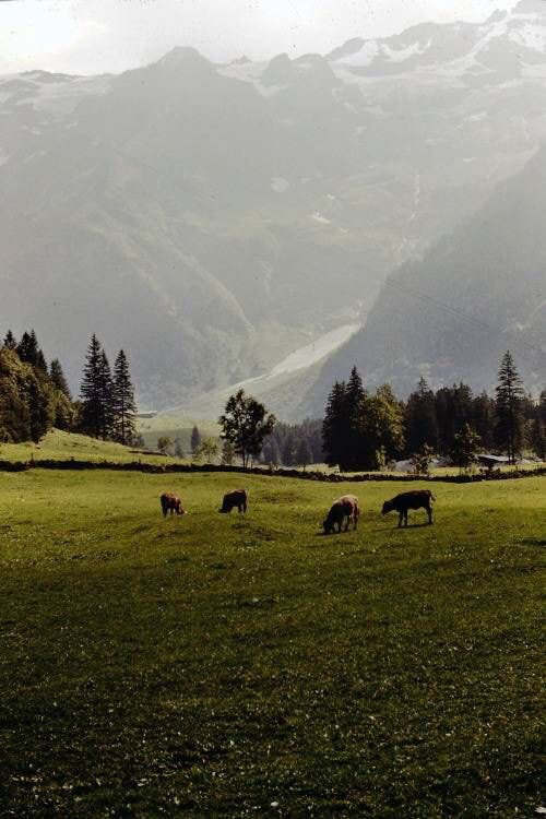 편의점이나 호프집 없을거 같아서 가기 꺼려지는 동네 | 인스티즈